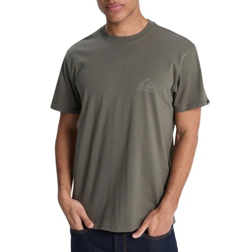Quiksilver mini logo - ev,