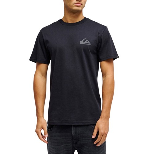 Quiksilver mini logo - quiksilver,